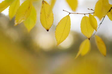 Ross Hoddinott | Nikon magazine