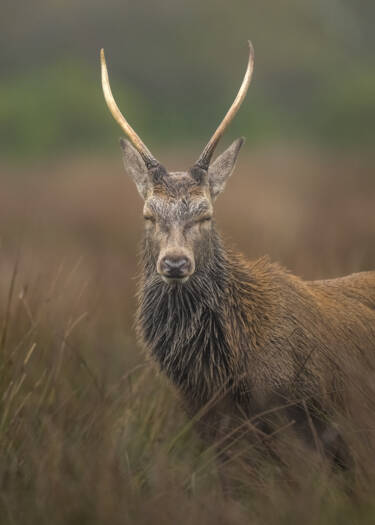 Nikon magazine - The Set Up